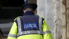 LATEST: Young cyclist (20s) dies following overnight crash in Carlow 