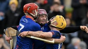 Mary Immaculate College's Fitzgibbon Cup winning side to be celebrated at homecoming dinner