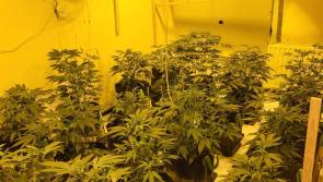 Gardaí find big cannabis grow houses in Galway raids - three people arrested