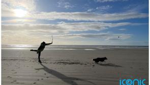 Reduce your stress and anxiety by spending time with your dog