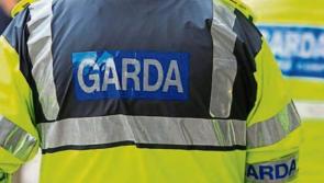 Gardaí locate 'large' cannabis grow house as part of ongoing investigation