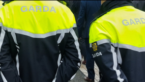 Gardaí stand down search for teenager boy missing from Laois for three days