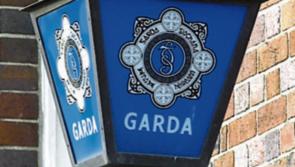 Gardaí appeal for witnesses following assault on 19-year-old alleged tourist in Dublin