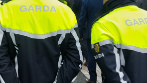 Teen arrested by Gardaí investigating violent LGBT hate crime at Phoenix Park