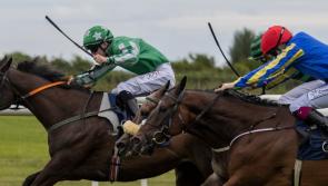 Moyross jockey Wesley Joyce among winners in terrific spell for Limerick connections