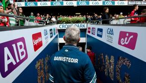 Only one Limerick player named on GAA Hurling Team of the Week 