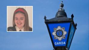 Search stood down for missing 14 year-old girl as garda&iacute; issue update