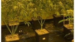 Almost €220k seized as gardaí uncover 'sophisticated cannabis cultivation operation' 