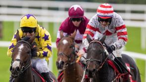 Talented young Limerick jockey celebrates first double with Galway brace