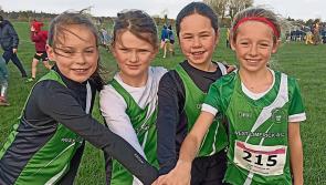 Limerick Athletics - Weekly News Update