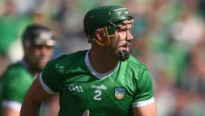 Seven Limerick stars named on best hurling team of the last 25 years 