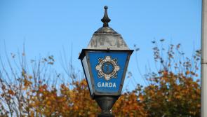 ALERT: Man arrested by gardai investigating allegations of human trafficking