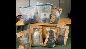 Gardaí seized cannabis worth over €500,000 in home in Cavan 