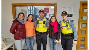  'Ireland's Dumbest Criminals!' Garda&iacute; pull off master plan to recover tourist's stolen phone