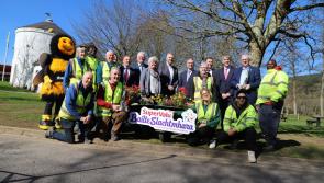 Register now! SuperValu Tidy Towns competition is officially launched