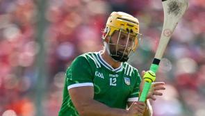 Six Limerick hurlers named on GAA.ie Team of the Week