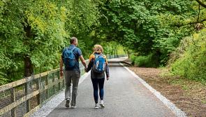 Calls made for 'urgent action' to complete greenway link in Limerick ahead of Ryder Cup
