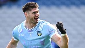 Five Limerick players included in Tailteann Cup Team of the Week