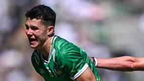The talking points from Limerick's Tailteann Cup final defeat to Kildare