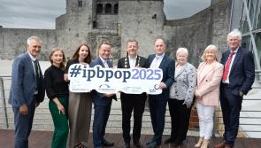 Four groups chosen to represent Limerick at Pride of Place Awards
