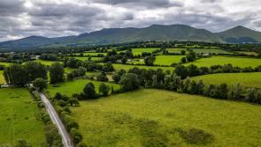 Ballyhoura backs biodiversity with community heritage grant