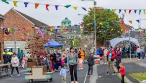 National Heritage Week brings a "vibrant array" of events to Limerick