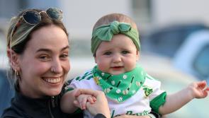 PICTURES: Supporters cheer on Ballybrown and Patrickswell in Limerick senior hurling derby