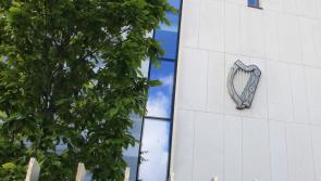 Limerick company faces prosecution over illegal burning of vegetation at commercial yard