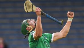 Limerick All-Ireland winning panellist makes Louth hurling debut