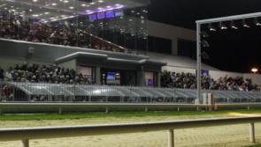 All set for the pre-Christmas Donal Scanlon Memorial final in Limerick Greyhound Stadium