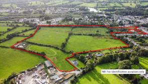 Land beside Limerick village sells for nearly €2million