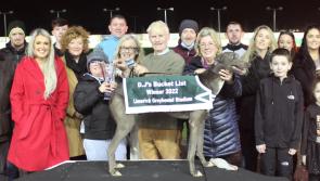 Pat Buckley's Flashing Willow impresses again in Limerick Greyhound Stadium