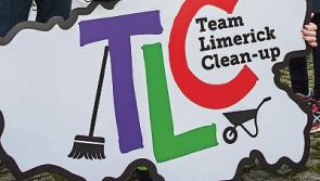 Limerick councillors say a &lsquo;bounty&rsquo; on rubbish may help with litter