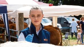 Limerick success at super South East Clare Show