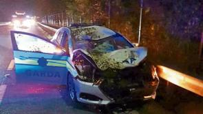 Gardai hospitalised after horse hits patrol car in Limerick city 