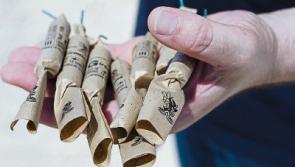 Limerick gardai issue warning on fireworks as incident sparks evacuation&nbsp;of flats