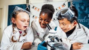 Scary treats in store with host of events taking place in Limerick for Halloween