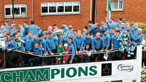 New Limerick and District Photographic Society calendar puts county in picture