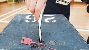 Limerick people urged to have their say on modern electoral register