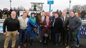 Increased attendance at Limerick Christmas Racing Festival breaks 40,000 mark