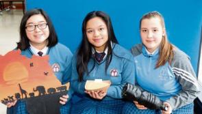 County Limerick students come up with eco-friendly solution to a devastating problem