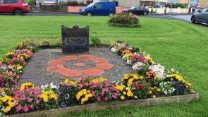 Kilkee murder trial hears that witness did not see his cousin being stabbed in fight