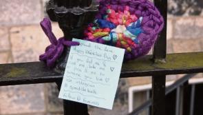 Limerick student spreads the love and smiles with knitwear on Valentine's Day