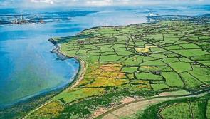 High Court review sees Shannon LNG project ‘postponed indefinitely’