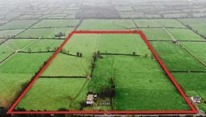 Limerick dairy farmer buys land for €10k an acre 