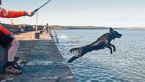 Limerick villages benefit from&nbsp; almost &euro;350,000 funding boost&nbsp;