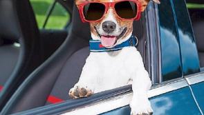 Hot cross fun: Baking Easter Bank Holiday weekend in Limerick with temperatures to hit 20 degrees