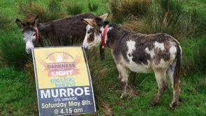 Limerick village's Darkness Into Light walk a beacon of hope with a novel twist