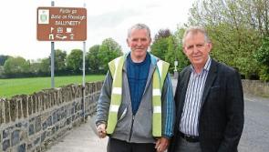 Limerick village's 'Great Wall' is up for an award