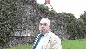 Former mayor of Limerick criticises housing plan for historic area
